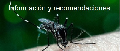 Información y recomendaciones para prevenir las enfermedades transmitidas por mosquitos.